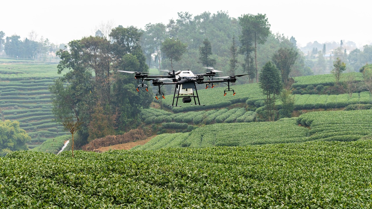 dji, drone, plant protection drone, farmland, agriculture, plant protection, t16, tea garden, agras, farming, uav